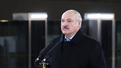 ЕС ввёл санкции против Александра Лукашенко и его сына
