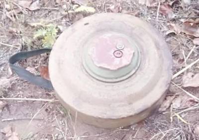 На обочине федеральной трассы в Рязанской области нашли мину