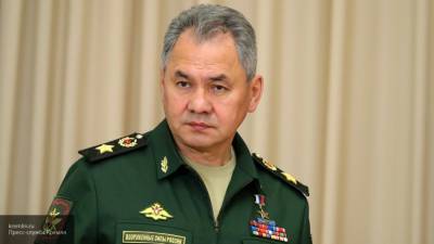 Шойгу рассказал о значении сирийской кампании для армии РФ