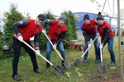 В Ярославле хоккеисты посадили кленовую аллею