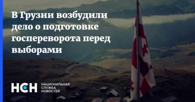 Ираклий Кобахидзе - Саакашвили - В Грузии возбудили дело о подготовке госпереворота перед выборами - nsn.fm - Грузия