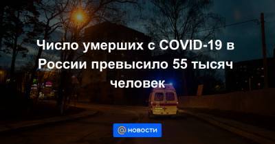 Число умерших с COVID-19 в России превысило 55 тысяч человек