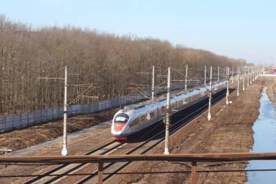 Губернатор Тверской области высказался по поводу строительства высокоскоростной ж/д магистрали