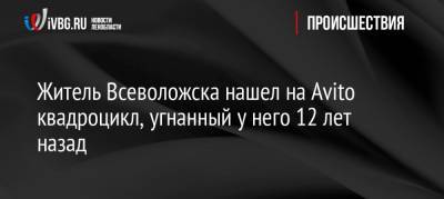 Житель Всеволожска нашел на Avito квадроцикл, угнанный у него 12 лет назад