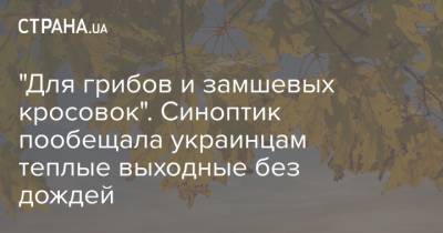 "Для грибов и замшевых кросовок". Синоптик пообещала украинцам теплые выходные без дождей
