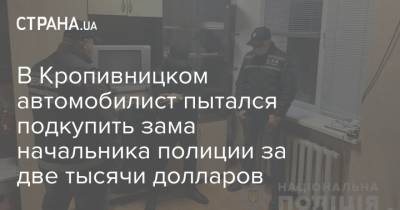 В Кропивницком автомобилист пытался подкупить зама начальника полиции за две тысячи долларов
