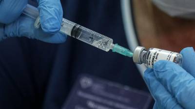Гинцбург назвал сроки начала массовой вакцинации от коронавируса в Москве