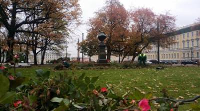 В Петербурге деревья и кустарники утеплят к зиме