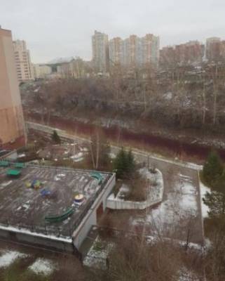 Кузбасские власти рассказали, что стало источником загрязнения Искитимки