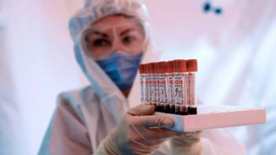 В Петербурге впервые выявили более 1200 случаев коронавируса за сутки