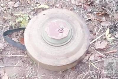 В Михайловском районе на трассе нашли мину