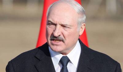 “Это позорище”: Лукашенко прокомментировал президентские выборы в США