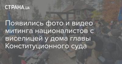 Появились фото и видео митинга националистов с виселицей у дома главы Конституционного суда