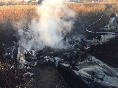 Авиакатастрофа в Подмосковье: пилот едва успел увести самолет от дороги и домов