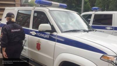 Полицейские нашли "резиновую квартиру" в Приморском районе Петербурга