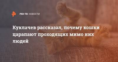 Куклачев рассказал, почему кошки царапают проходящих мимо них людей