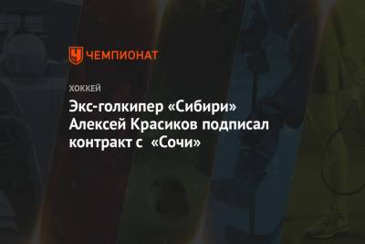 Экс-голкипер «Сибири» Алексей Красиков подписал контракт с «Сочи»