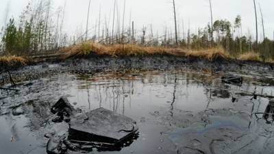 В ЯНАО обнаружили разлив нефти на месторождении