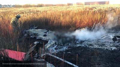 СМИ сообщили о двух предварительных причинах крушения самолета Колтового