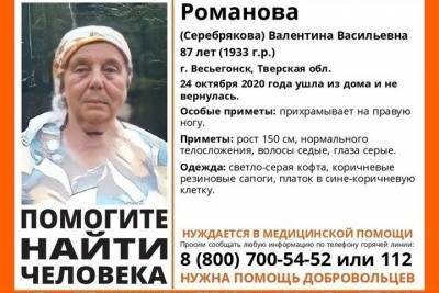 Две недели назад 87-летняя бабушка бесследно исчезла в Тверской области