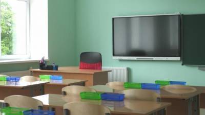 Школы в Петербурге начали прием заявлений на смешанную форму обучения