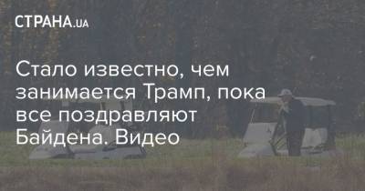 Стало известно, чем занимается Трамп, пока все поздравляют Байдена. Видео