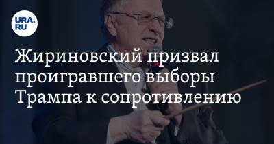 Жириновский призвал проигравшего выборы Трампа к сопротивлению. «Вся Америка вооружена»