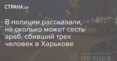 В полиции рассказали, на сколько может сесть араб, сбивший трех человек в Харькове