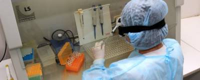 В Новосибирске тестирование на коронавирус начала новая лаборатория