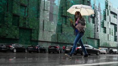 Дождь и порывистый ветер ожидаются в Москве в воскресенье