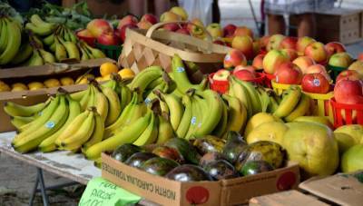 Тропические фрукты смягчат последствия изменения климата - Cursorinfo: главные новости Израиля