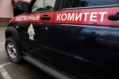 В Подмосковье неизвестные убили двух женщины и тяжело ранили шестилетнюю девочку