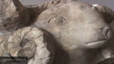 Античные реликвии вернулись в Хаму благодаря полиции Сирии