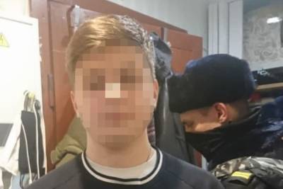 Школьник из Петербурга напал с ножом на племяшку и расстрелял родителей