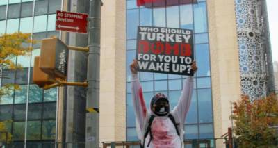 Турция не присоединится к ЕС в ближайшие 30 лет —- глава МИД Австрии