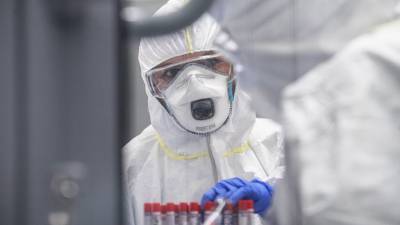 В России провели более 64,6 млн тестов на коронавирус