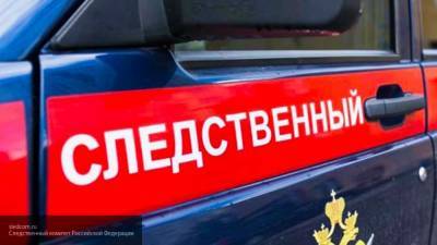 СК возбудил дело против пытавшегося убить семью подростка из Петербурга