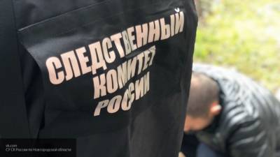 СК расследует убийство двух женщин в Солнечногорском районе