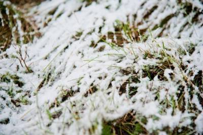 Первый снег придет в Волгоградскую область на следующей неделе