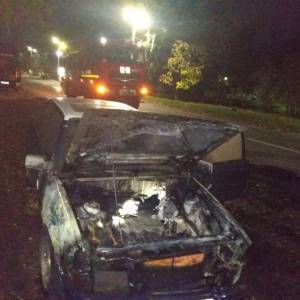 В Вольнянске загорелся автомобиль. Фото