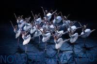 В Москве начался Всероссийский конкурс артистов балета и хореографов