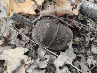 В лесу под Николаевом мужчина нашел боевую гранату
