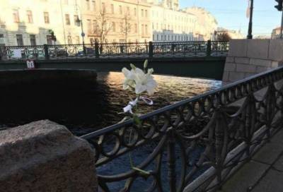 Жители Петербурга несут цветы на набережную Мойки, 82 в память об Анастасии Ещенко