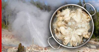 Американец попытался приготовить курицу в горячем источнике Йеллоустоуна