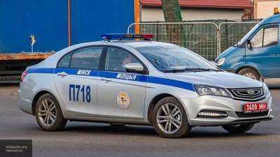 Милиция задержала бывшую Мисс Беларусь на несанкционированной акции