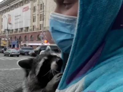 «Мало посетителей»: Енот вышел на митинг в центре Харькова