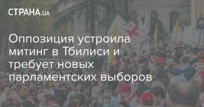 Оппозиция устроила митинг в Тбилиси и требует новых парламентских выборов
