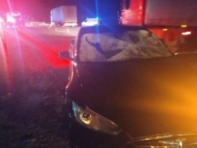 Водитель Tesla сбил двух пешеходов на Львовщине
