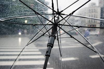 Дождь и сильный ветер пообещали петербуржцам в понедельник