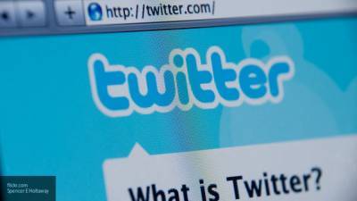 Политолог предложил бороться с цензурой в Twitter на законодательном уровне